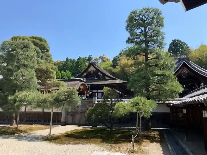御寺 泉涌寺(京都府)