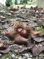 木舟山 順教寺の自然