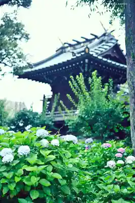 白山神社の本殿・本堂