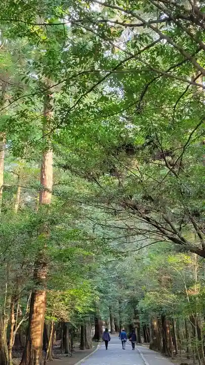 瀧原宮(皇大神宮別宮)(三重県)