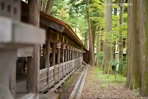 諏訪大社(長野県)