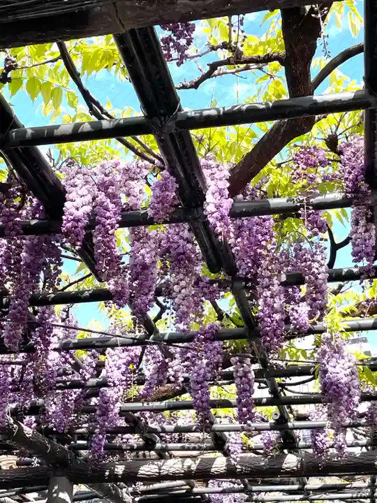 浅草寺(東京都)