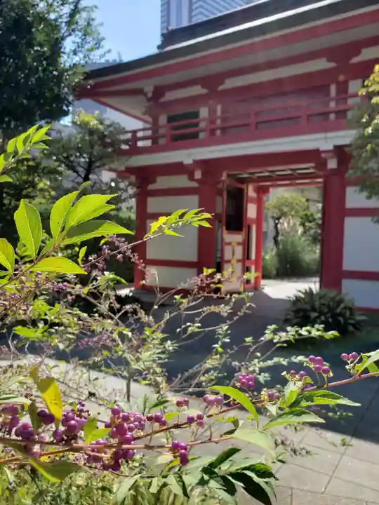 成子天神社のその他建物