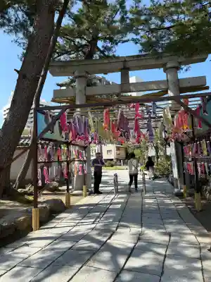 白山神社の{uncategorized: "未分類", other: "その他", undefined: "問題あり", building: "その他建物", grave: "お墓", sacred_gate: "鳥居", guardian: "狛犬", statue: "像", buddha: "仏像", history: "歴史", nature: "自然", garden: "庭園", animal: "動物", pagoda: "塔", temizu: "手水舎", mountain_gate: "山門・神門", sanctuary: "本殿・本堂", subordinate: "末社・摂社", art: "芸術", scenery: "景色", jizo: "地蔵", ema: "絵馬", goshuin: "御朱印", omikuji: "おみくじ", items: "授与品その他", amulet: "お守り", goshuincho: "御朱印帳", eats: "食事", festival: "お祭り", votive_dance: "神楽", shichigosan: "七五三参", wedding: "結婚式", experience: "体験その他", initially: "初詣", around: "周辺", anti_infection: "感染症対策"}