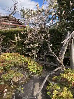 妙法寺(神奈川県)