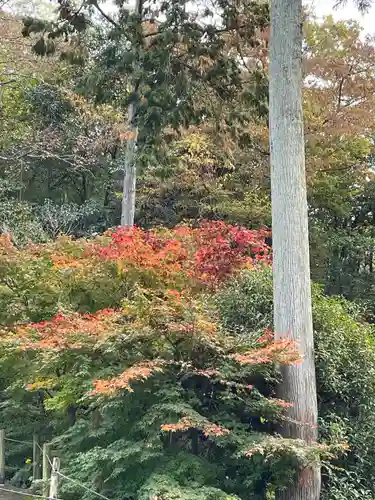 鏑射寺(兵庫県)