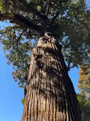 日吉神社(千葉県)