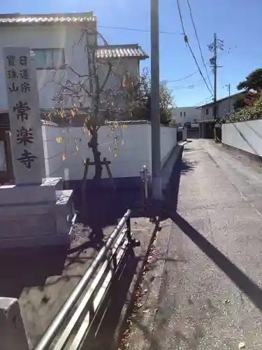 常楽寺のその他建物