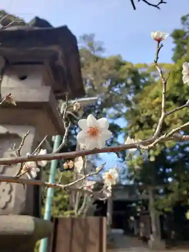 赤坂氷川神社(東京都)