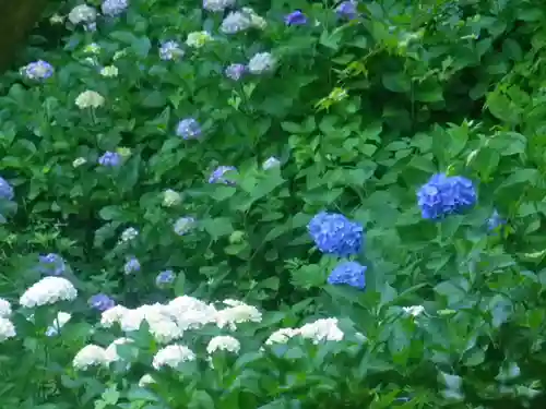 東慶寺の庭園