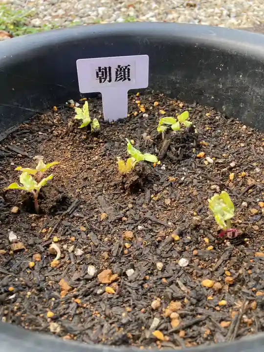 總社 和田八幡宮(福井県)