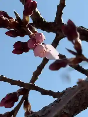 観音神社(広島県)