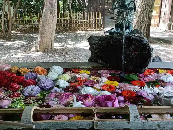 世田谷八幡宮(東京都)