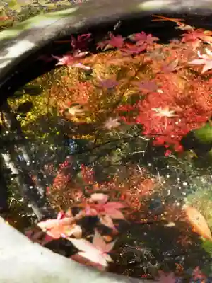 覚園寺(神奈川県)