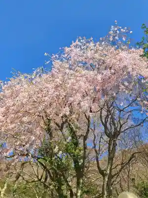 九頭龍神社本宮の{uncategorized: "未分類", other: "その他", undefined: "問題あり", building: "その他建物", grave: "お墓", sacred_gate: "鳥居", guardian: "狛犬", statue: "像", buddha: "仏像", history: "歴史", nature: "自然", garden: "庭園", animal: "動物", pagoda: "塔", temizu: "手水舎", mountain_gate: "山門・神門", sanctuary: "本殿・本堂", subordinate: "末社・摂社", art: "芸術", scenery: "景色", jizo: "地蔵", ema: "絵馬", goshuin: "御朱印", omikuji: "おみくじ", items: "授与品その他", amulet: "お守り", goshuincho: "御朱印帳", eats: "食事", festival: "お祭り", votive_dance: "神楽", shichigosan: "七五三参", wedding: "結婚式", experience: "体験その他", initially: "初詣", around: "周辺", anti_infection: "感染症対策"}