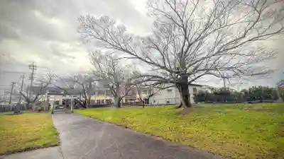 熊野十二柱神社(徳島県)