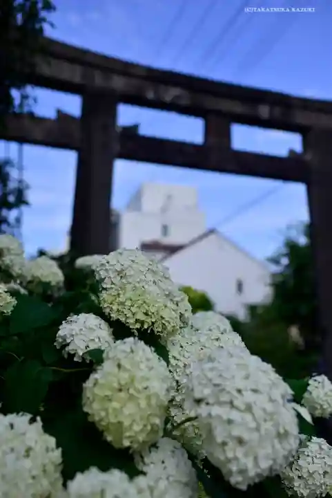 白山神社の庭園