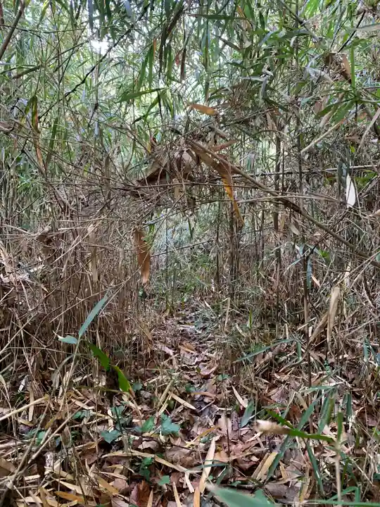 浅間神社(千葉県)