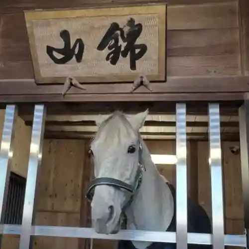 多度大社の{uncategorized: "未分類", other: "その他", undefined: "問題あり", building: "その他建物", grave: "お墓", sacred_gate: "鳥居", guardian: "狛犬", statue: "像", buddha: "仏像", history: "歴史", nature: "自然", garden: "庭園", animal: "動物", pagoda: "塔", temizu: "手水舎", mountain_gate: "山門・神門", sanctuary: "本殿・本堂", subordinate: "末社・摂社", art: "芸術", scenery: "景色", jizo: "地蔵", ema: "絵馬", goshuin: "御朱印", omikuji: "おみくじ", items: "授与品その他", amulet: "お守り", goshuincho: "御朱印帳", eats: "食事", festival: "お祭り", votive_dance: "神楽", shichigosan: "七五三参", wedding: "結婚式", experience: "体験その他", initially: "初詣", around: "周辺", anti_infection: "感染症対策"}