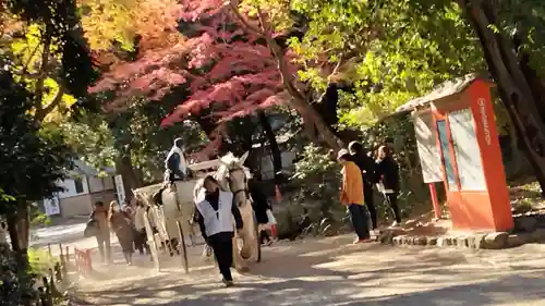 賀茂御祖神社（下鴨神社）(京都府)