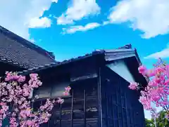 四季桜の寺 妙乗院の建物その他