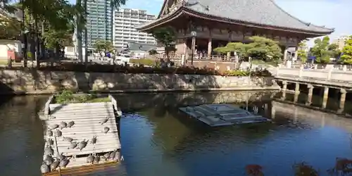 四天王寺のその他建物
