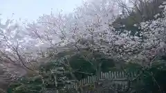 神明神社の自然