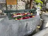 岡寺(龍蓋寺)の{uncategorized: "未分類", other: "その他", undefined: "問題あり", building: "その他建物", grave: "お墓", sacred_gate: "鳥居", guardian: "狛犬", statue: "像", buddha: "仏像", history: "歴史", nature: "自然", garden: "庭園", animal: "動物", pagoda: "塔", temizu: "手水舎", mountain_gate: "山門・神門", sanctuary: "本殿・本堂", subordinate: "末社・摂社", art: "芸術", scenery: "景色", jizo: "地蔵", ema: "絵馬", goshuin: "御朱印", omikuji: "おみくじ", items: "授与品その他", amulet: "お守り", goshuincho: "御朱印帳", eats: "食事", festival: "お祭り", votive_dance: "神楽", shichigosan: "七五三参", wedding: "結婚式", experience: "体験その他", initially: "初詣", around: "周辺", anti_infection: "感染症対策"}