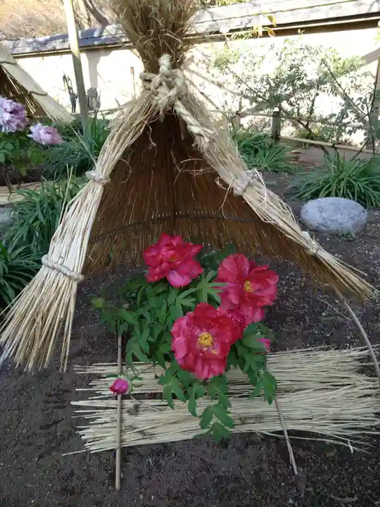 筥崎宮(福岡県)