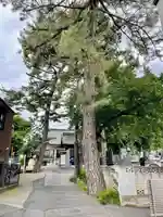 医王寺(埼玉県)