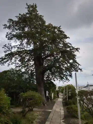 豊景神社(福島県)