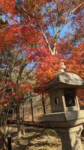宇治上神社の自然