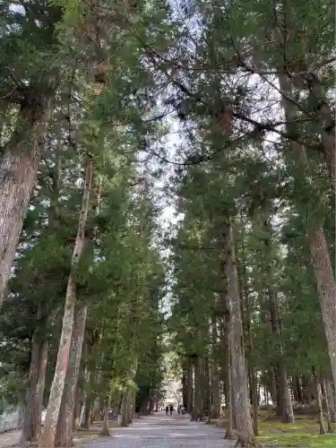 熊野本宮大社(和歌山県)