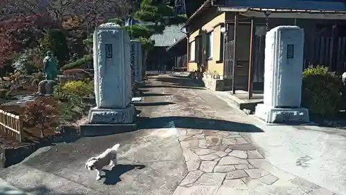 雲澤寺の山門