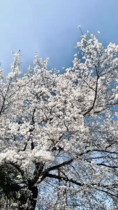 浄居寺(山梨県)