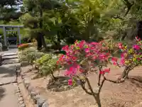 開成山大神宮の{uncategorized: "未分類", other: "その他", undefined: "問題あり", building: "その他建物", grave: "お墓", sacred_gate: "鳥居", guardian: "狛犬", statue: "像", buddha: "仏像", history: "歴史", nature: "自然", garden: "庭園", animal: "動物", pagoda: "塔", temizu: "手水舎", mountain_gate: "山門・神門", sanctuary: "本殿・本堂", subordinate: "末社・摂社", art: "芸術", scenery: "景色", jizo: "地蔵", ema: "絵馬", goshuin: "御朱印", omikuji: "おみくじ", items: "授与品その他", amulet: "お守り", goshuincho: "御朱印帳", eats: "食事", festival: "お祭り", votive_dance: "神楽", shichigosan: "七五三参", wedding: "結婚式", experience: "体験その他", initially: "初詣", around: "周辺", anti_infection: "感染症対策"}