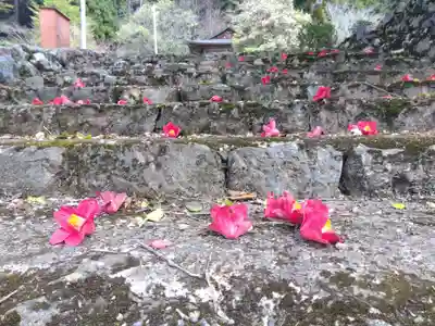 熊野神社(京都府)