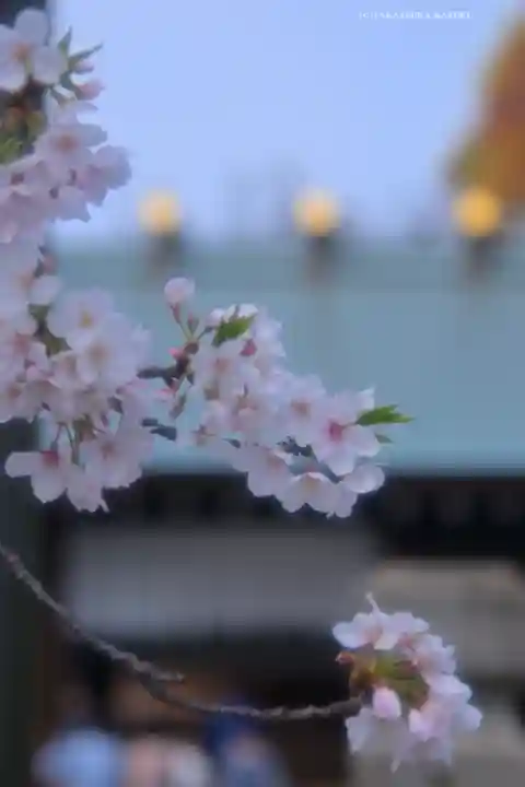 伊勢山皇大神宮(神奈川県)