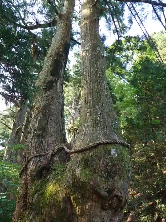玉置神社(奈良県)