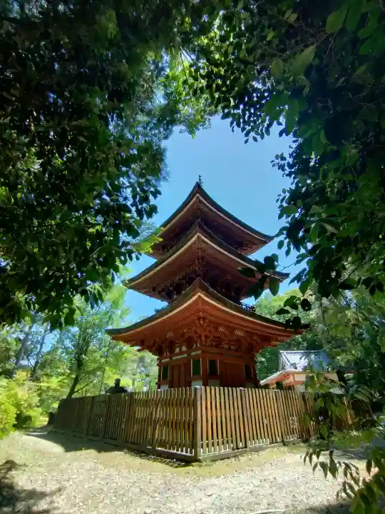 霊山寺の{uncategorized: "未分類", other: "その他", undefined: "問題あり", building: "その他建物", grave: "お墓", sacred_gate: "鳥居", guardian: "狛犬", statue: "像", buddha: "仏像", history: "歴史", nature: "自然", garden: "庭園", animal: "動物", pagoda: "塔", temizu: "手水舎", mountain_gate: "山門・神門", sanctuary: "本殿・本堂", subordinate: "末社・摂社", art: "芸術", scenery: "景色", jizo: "地蔵", ema: "絵馬", goshuin: "御朱印", omikuji: "おみくじ", items: "授与品その他", amulet: "お守り", goshuincho: "御朱印帳", eats: "食事", festival: "お祭り", votive_dance: "神楽", shichigosan: "七五三参", wedding: "結婚式", experience: "体験その他", initially: "初詣", around: "周辺", anti_infection: "感染症対策"}