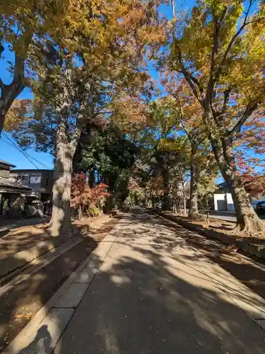 武蔵一宮氷川神社(埼玉県)