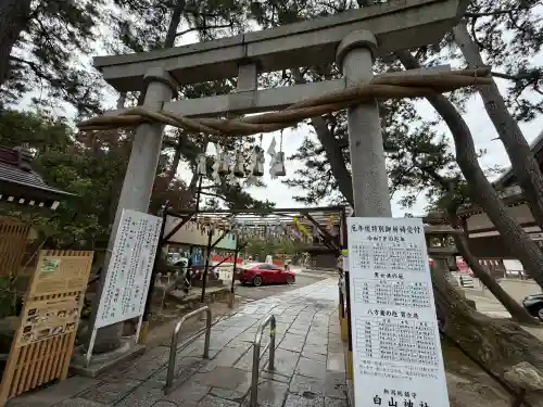 白山神社(新潟県)