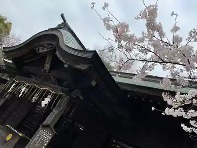 畑子安神社(千葉県)
