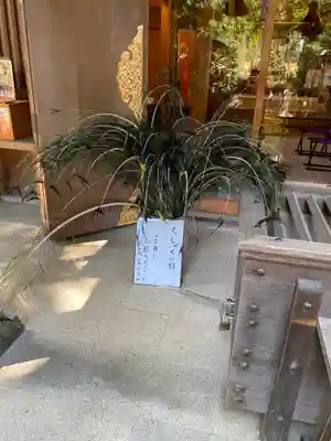 岩槻久伊豆神社(埼玉県)