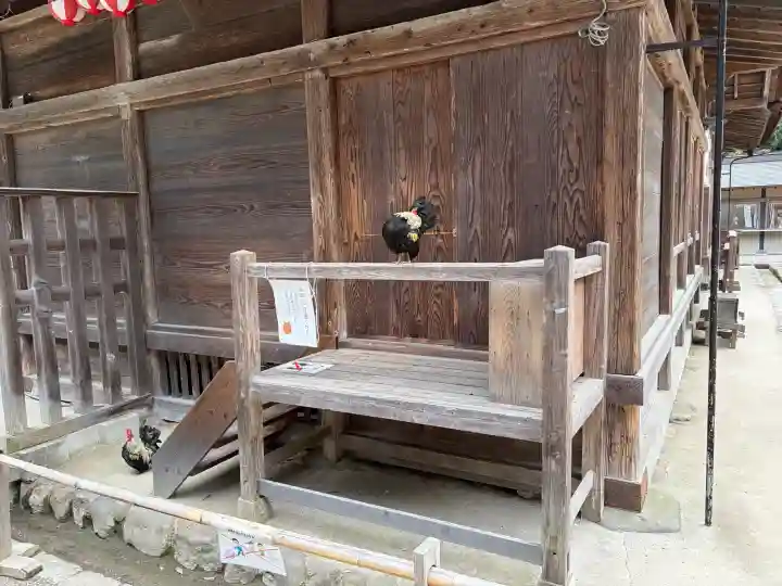 大崎八幡宮(宮城県)