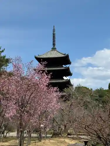 仁和寺(京都府)