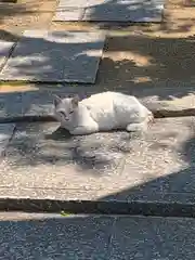 菅原神社の動物