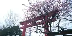 亀戸天神社の建物その他