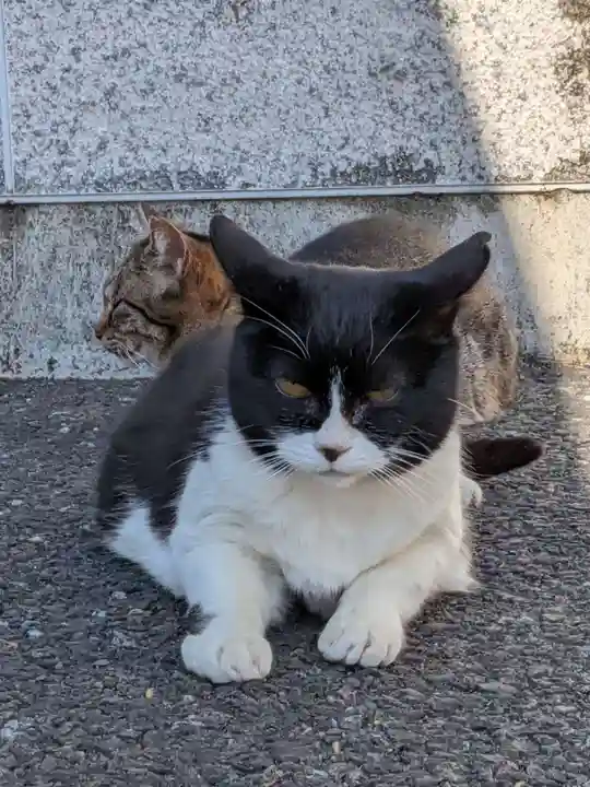 白金氷川神社(東京都)