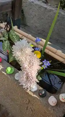 香雪院(京都府)